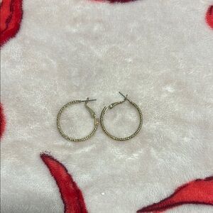 Elegant Gold Hoop Earrings